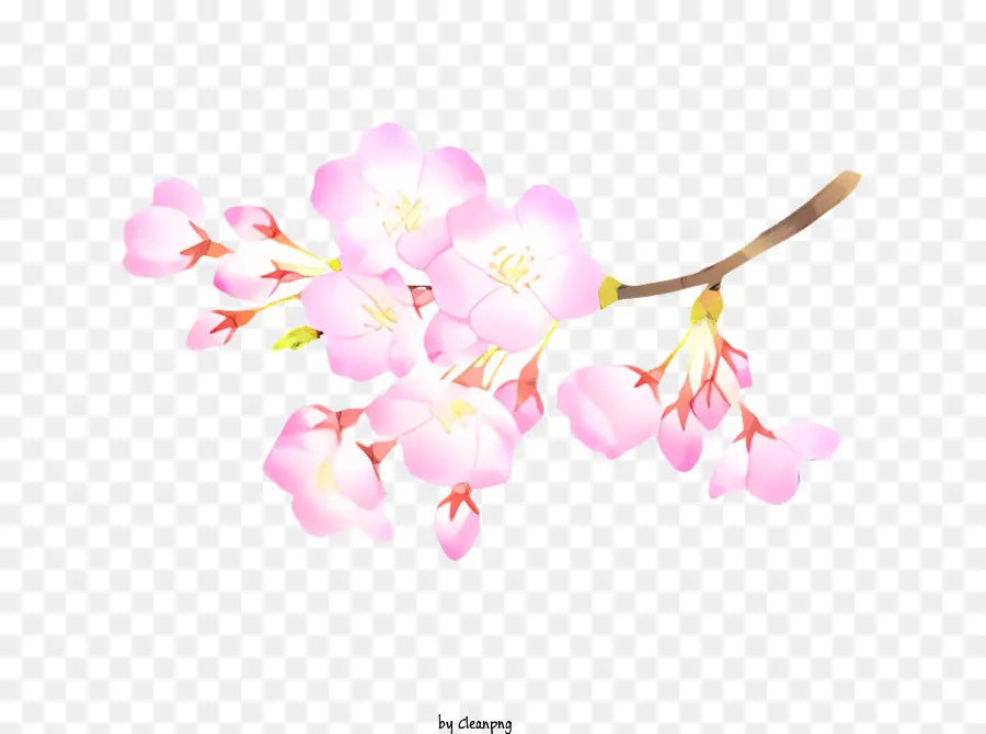 Fleur，Arbre De Fleur De Cerisier Rose PNG