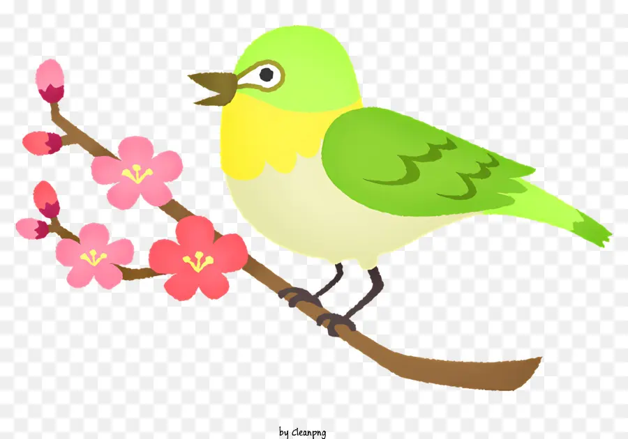 Petit Oiseau Vert，Branche D'arbre PNG