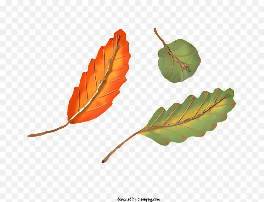 Icône，Feuille D'automne PNG