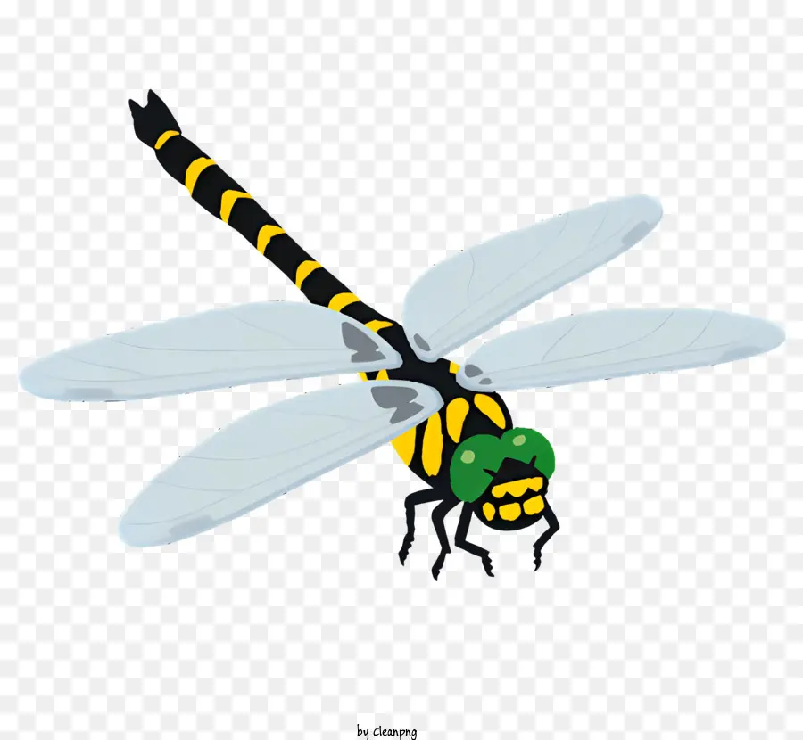 Bug，Libellule PNG