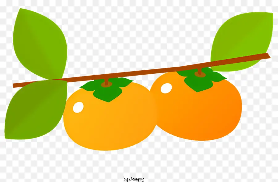 Fruits，Tranches D'orange PNG