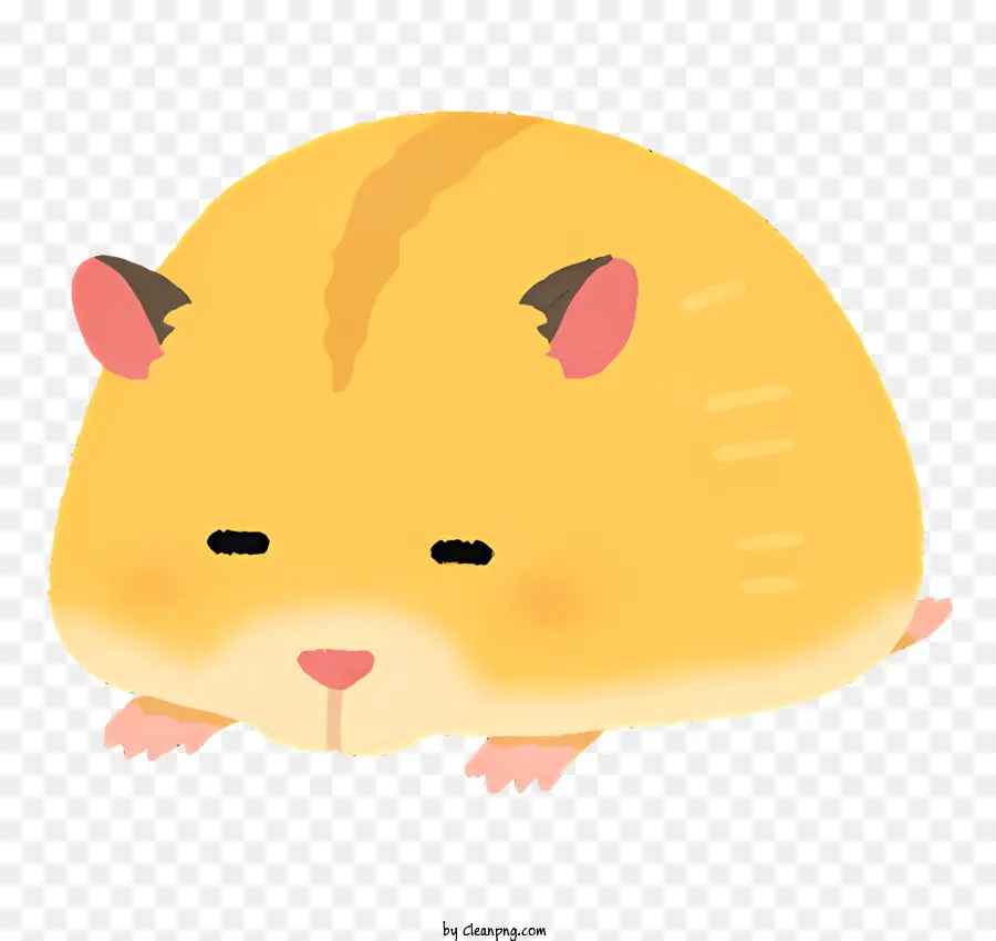 Hamster，Couché PNG