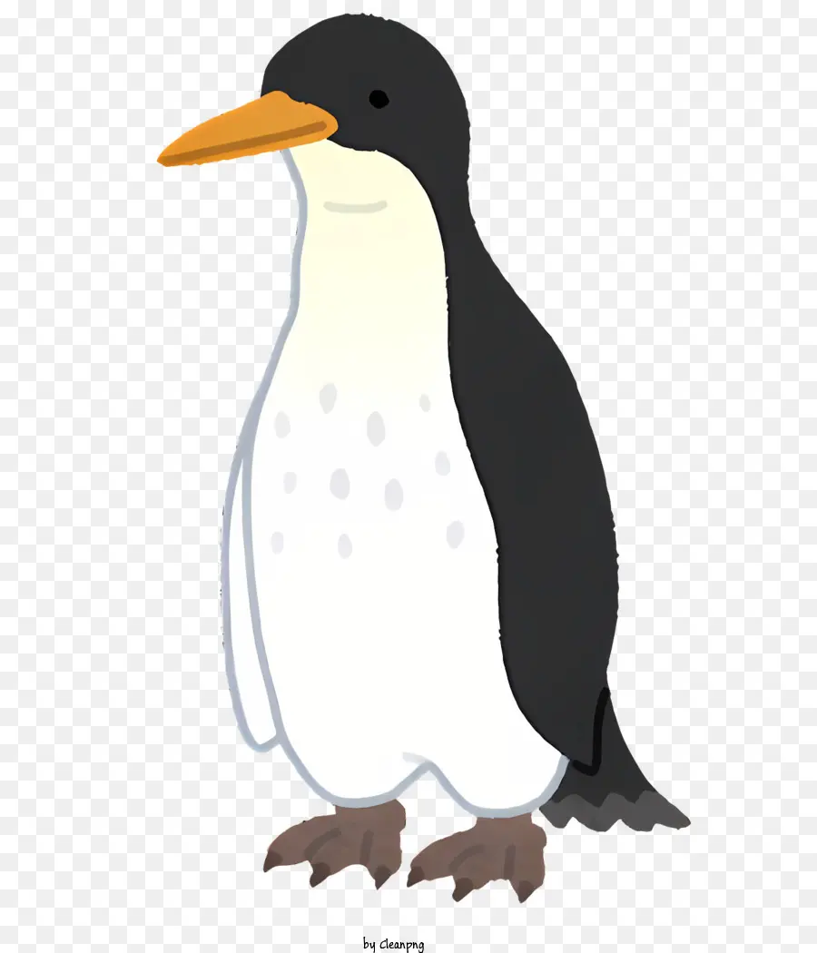 Pingouin，Noir Et Blanc Pingouin PNG