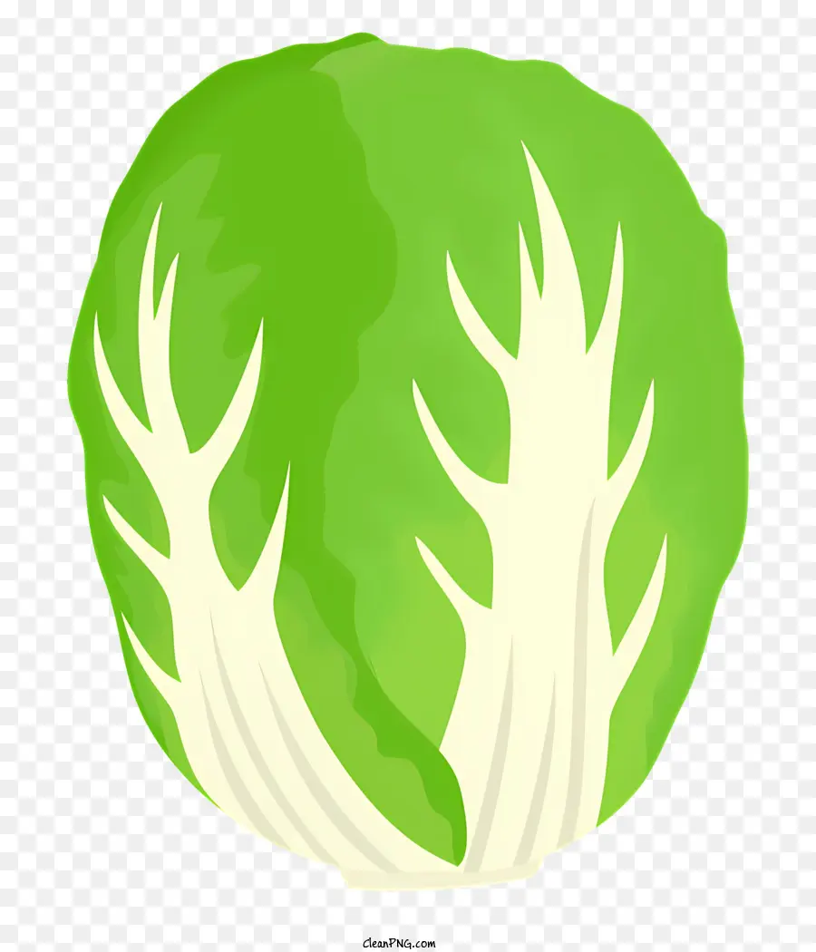 Légumes，Laitue PNG
