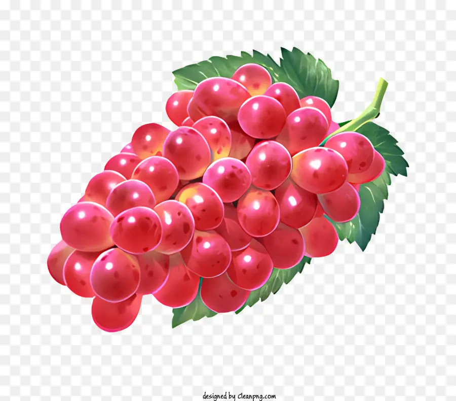 Fruits，Les Raisins Rouges PNG