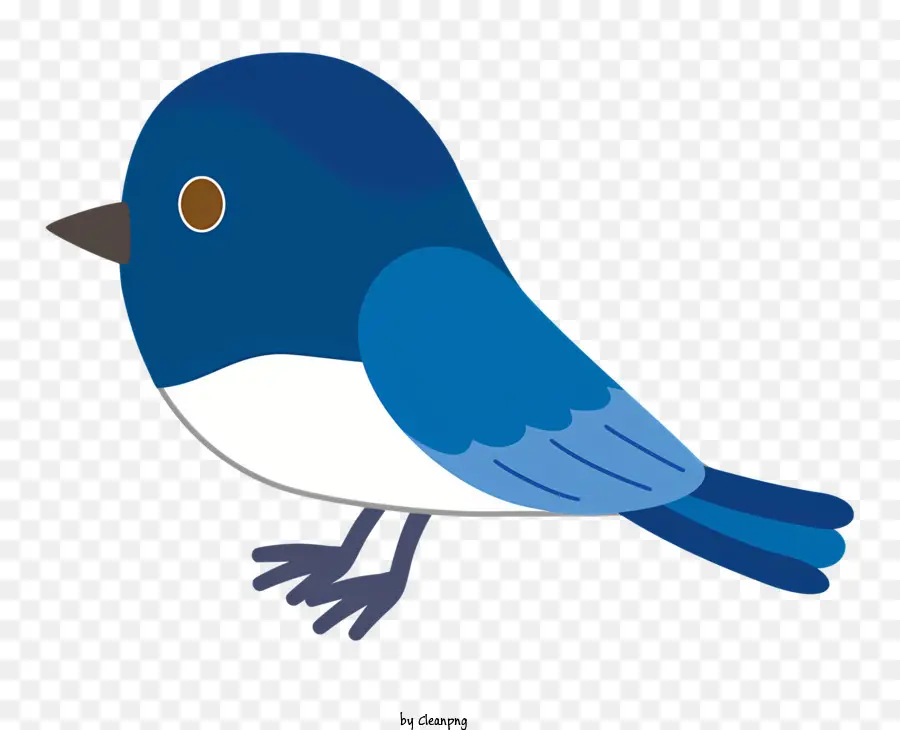 Oiseau，L'oiseau Bleu PNG