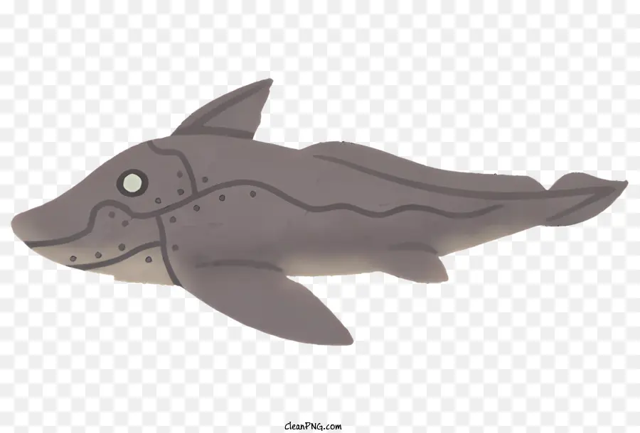 Poisson，Requin PNG