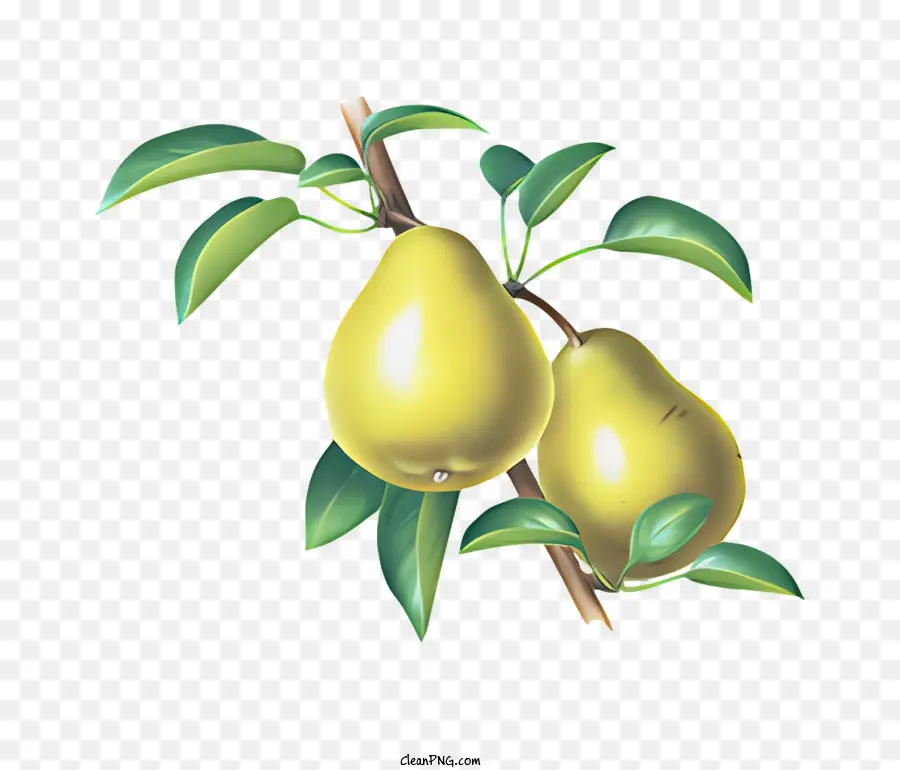 Fruit，Poires Vertes PNG