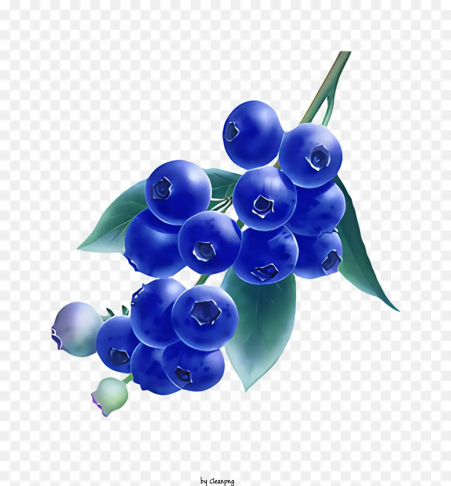 Fruit，Myrtille PNG