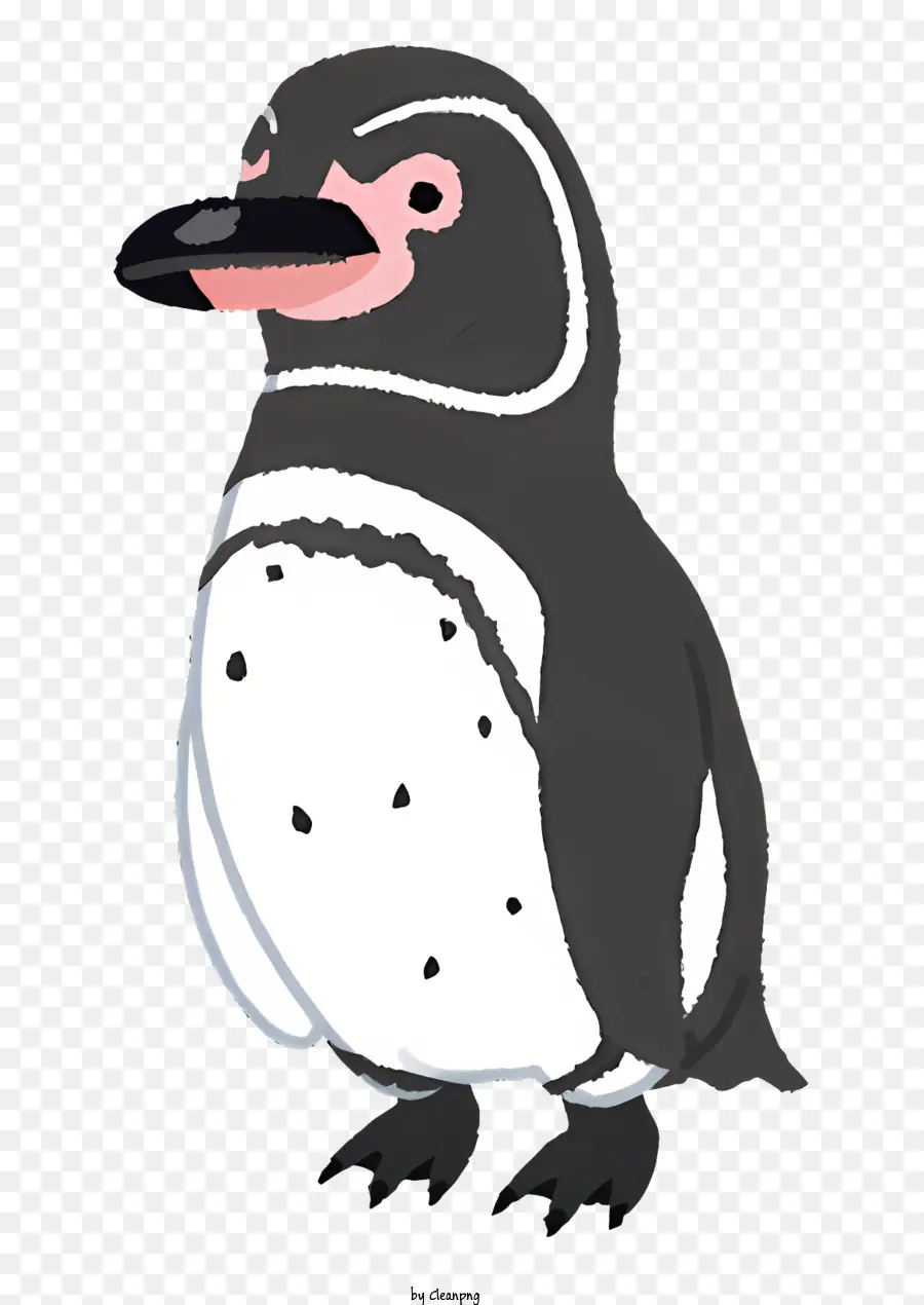 Pingouin，Arrière Plan Noir PNG