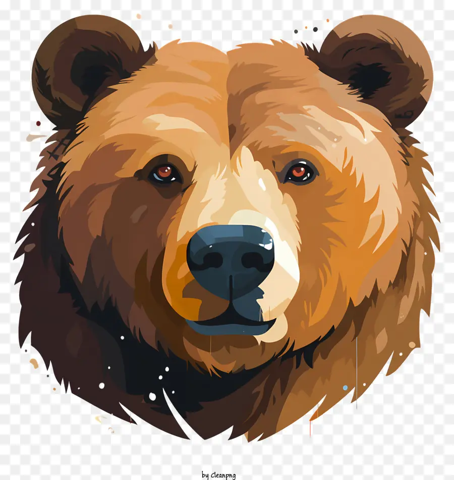 Portrait D'ours，L'ours Brun PNG