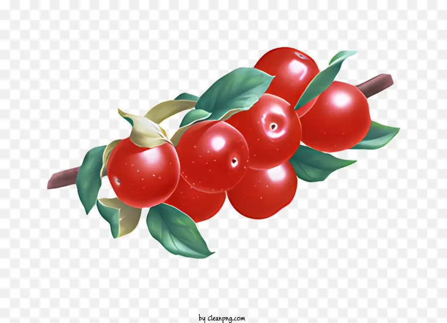 Fruit，Fruits Rouges PNG