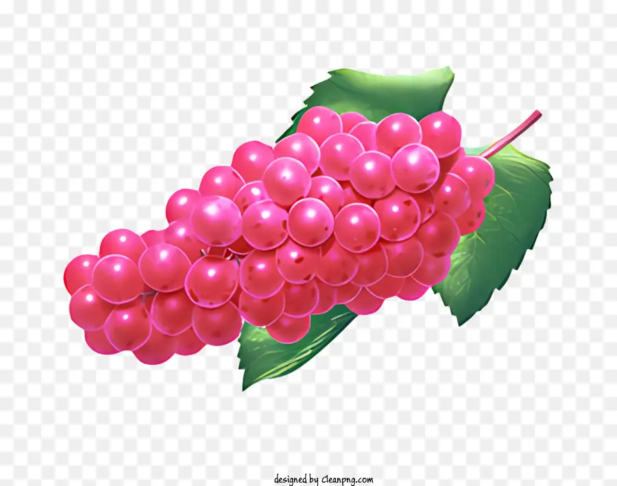 Fruit，Raisins PNG