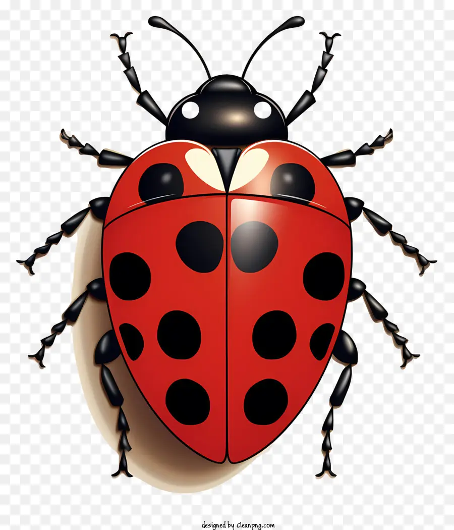 Coccinelle Dessinée à La Main，Coccinelle Rouge PNG