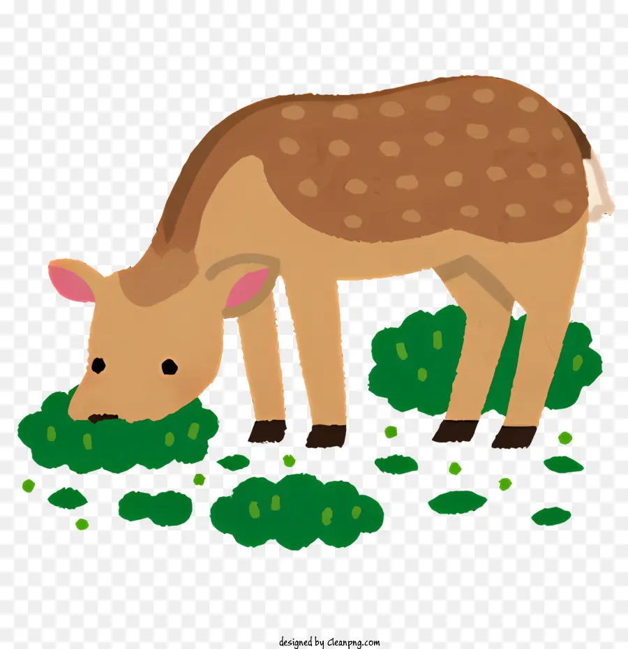 Clipart，Cerf PNG