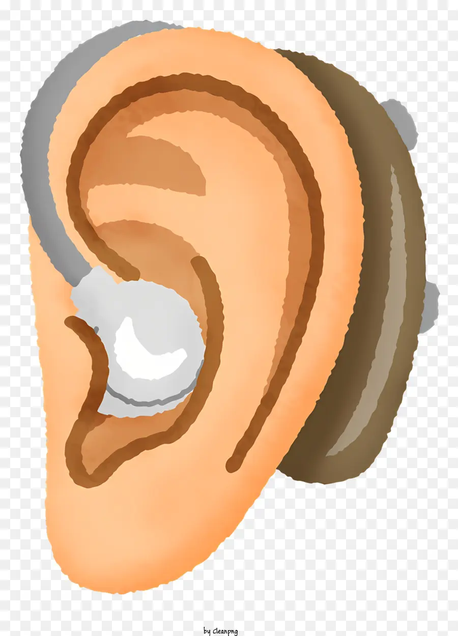 Prothèse Auditive，Oreille PNG