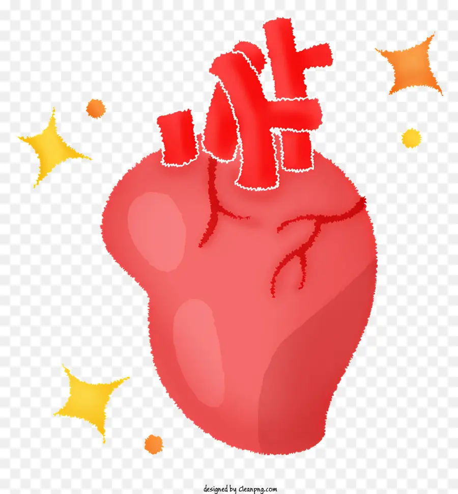 Organe Cardiaque，Santé Cardiaque PNG