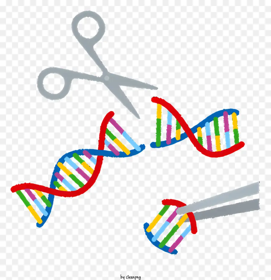 Médical，Modification De L'adn PNG