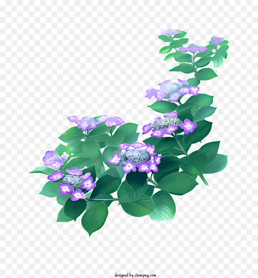 Fleur，Fleurs Violettes PNG