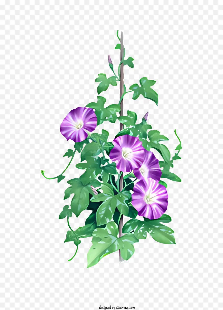 Fleur，Fleurs Violettes PNG