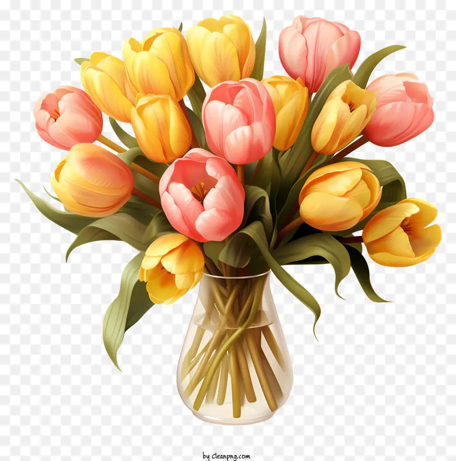 Bouquet De Tulipes Plates，Tulipes PNG