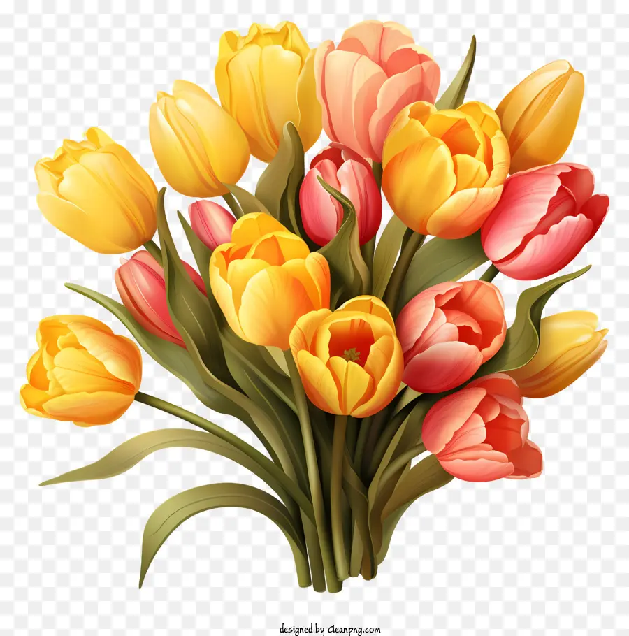 Bouquet De Tulipes Plates，Bouquet PNG