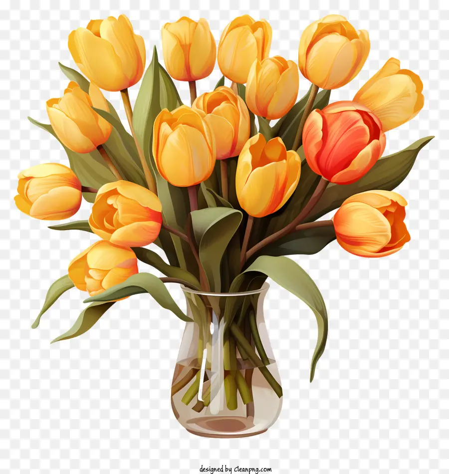 Bouquet De Tulipes Plates，Orange Tulipes PNG