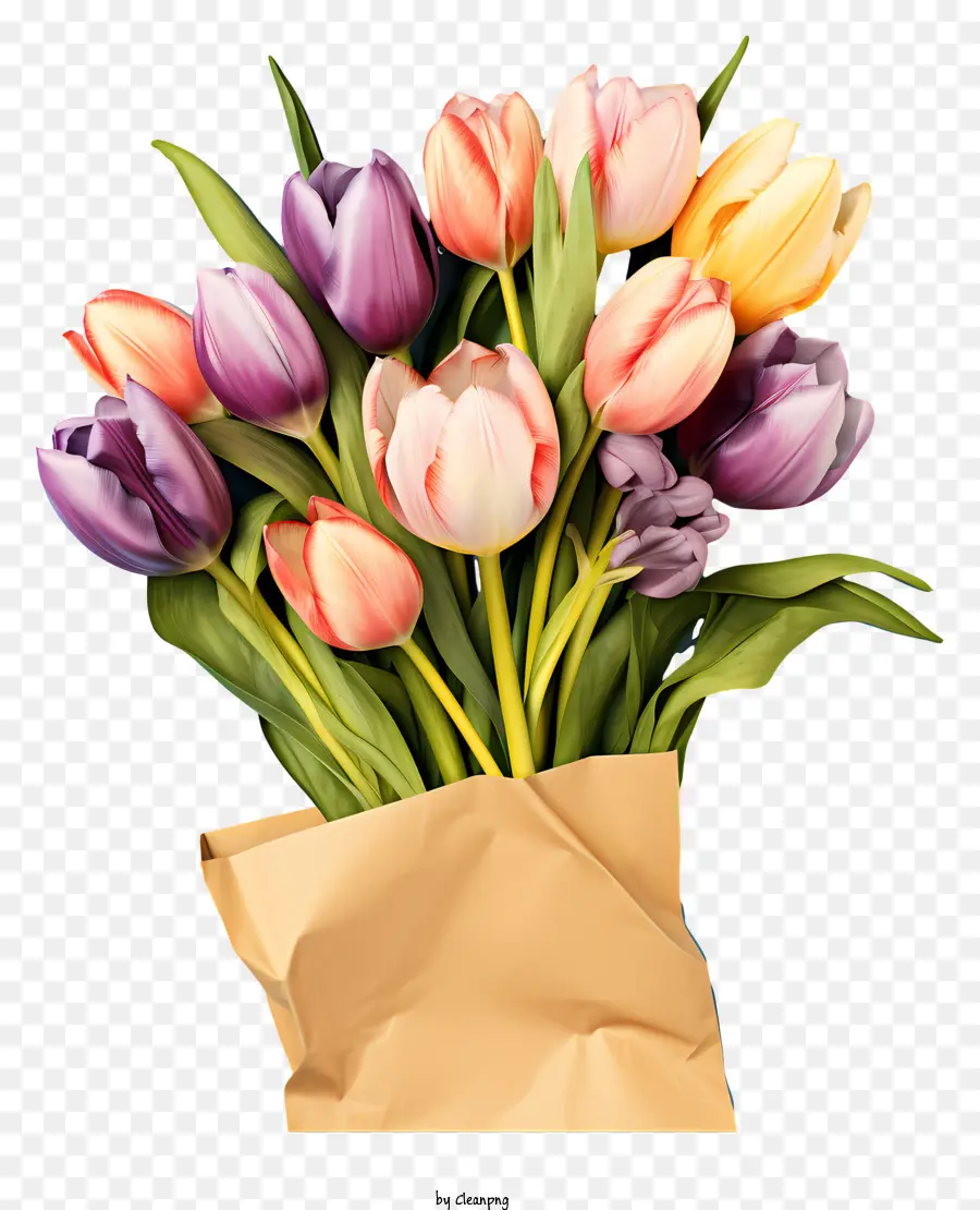 Bouquet De Tulipes Pastel，Les Tulipes PNG