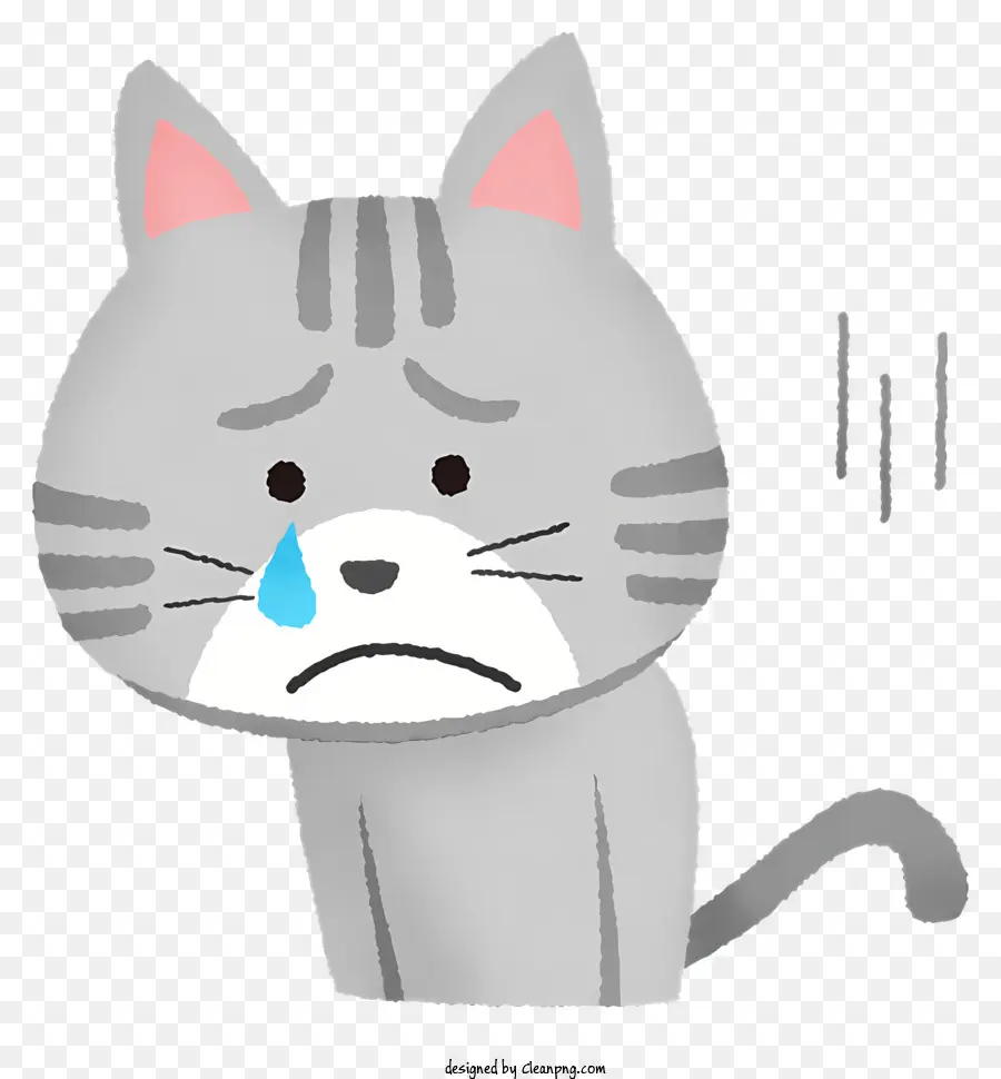Triste Chat，Chat Gris PNG
