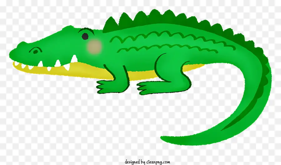 Dessin Animé Alligator，Dessin D'alligator PNG