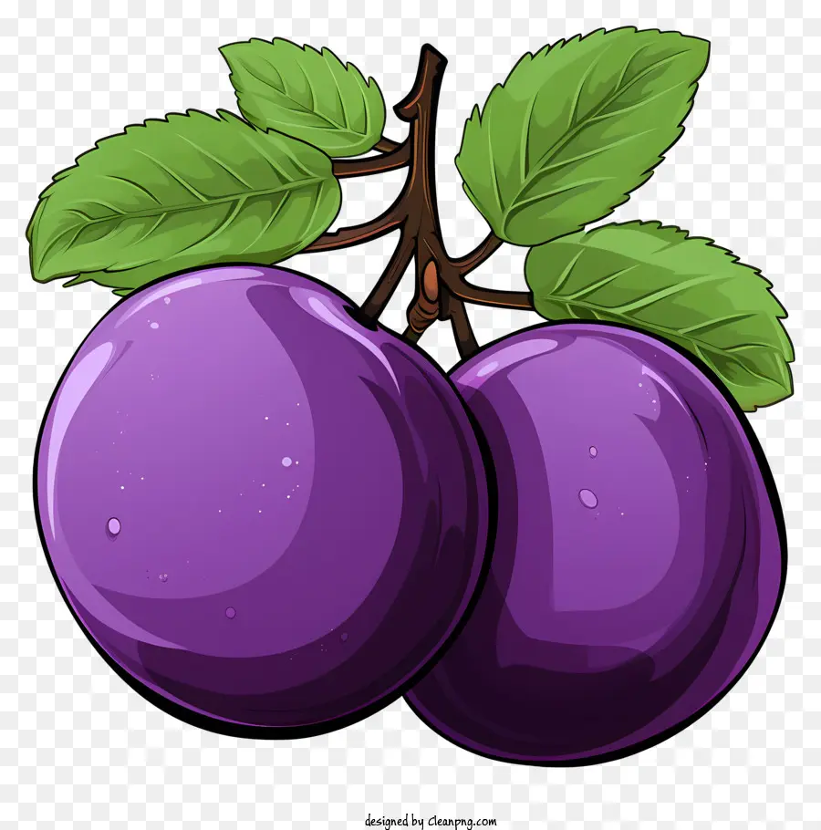 Prune Dessinée à La Main，Prunes PNG