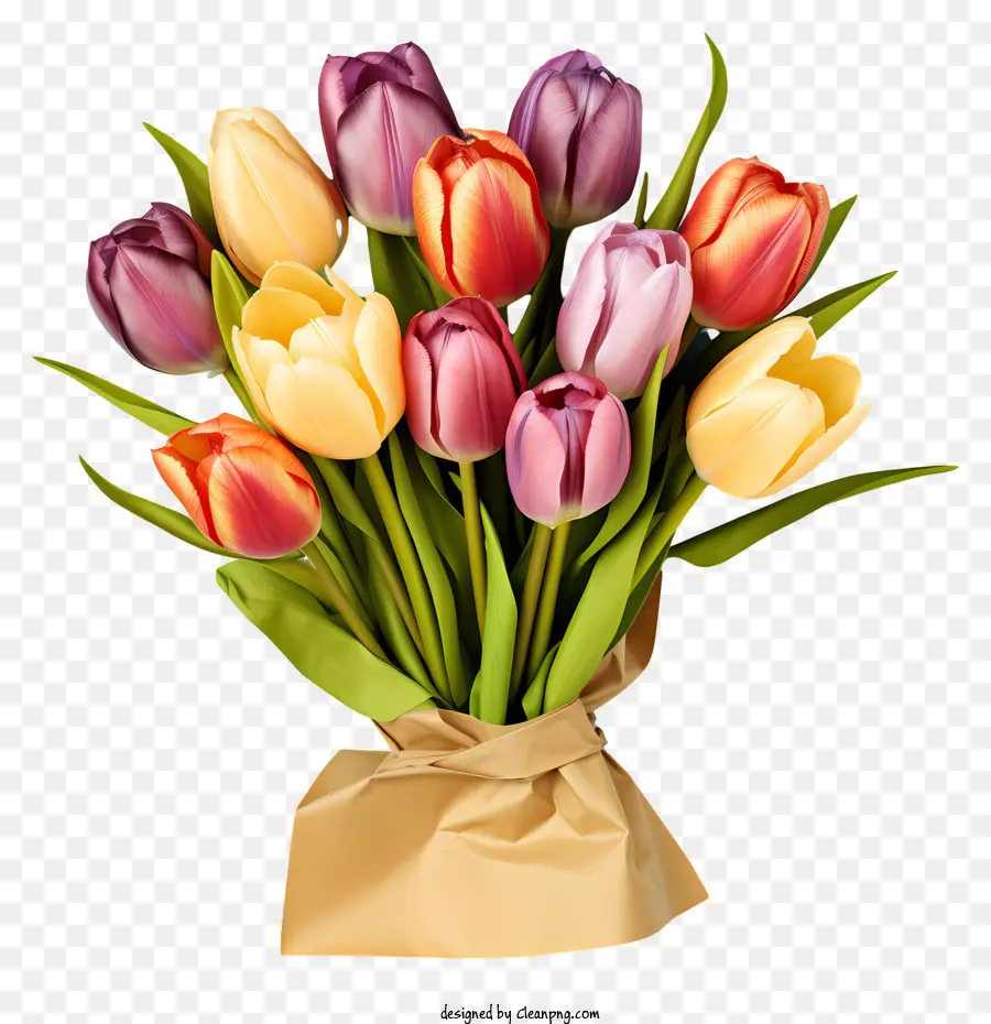 Bouquet De Tulipes Pastel，Tulipes PNG