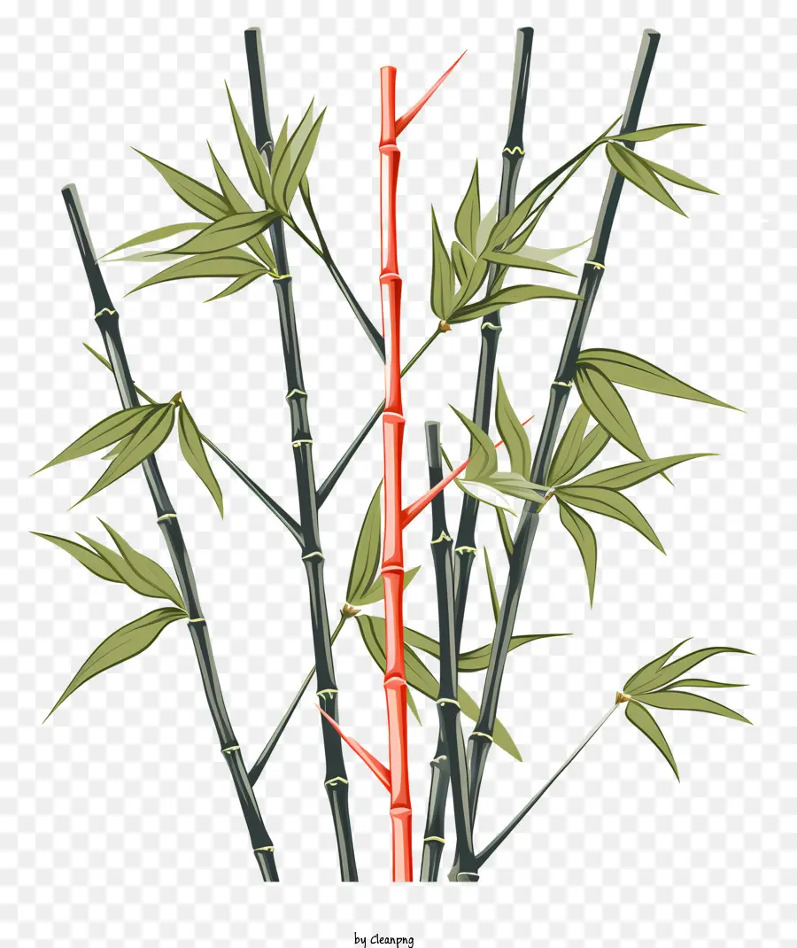 Tige De Bambou De Style Croquis，Bambou Dessin PNG