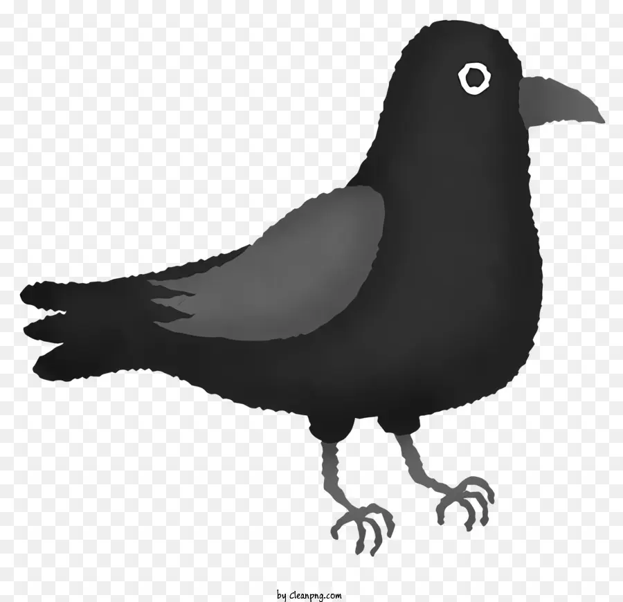 Petit Oiseau Noir，Bec Noir PNG