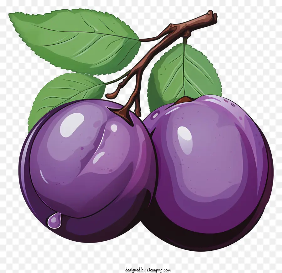 Prune De Style Croquis，Prunes Violettes PNG