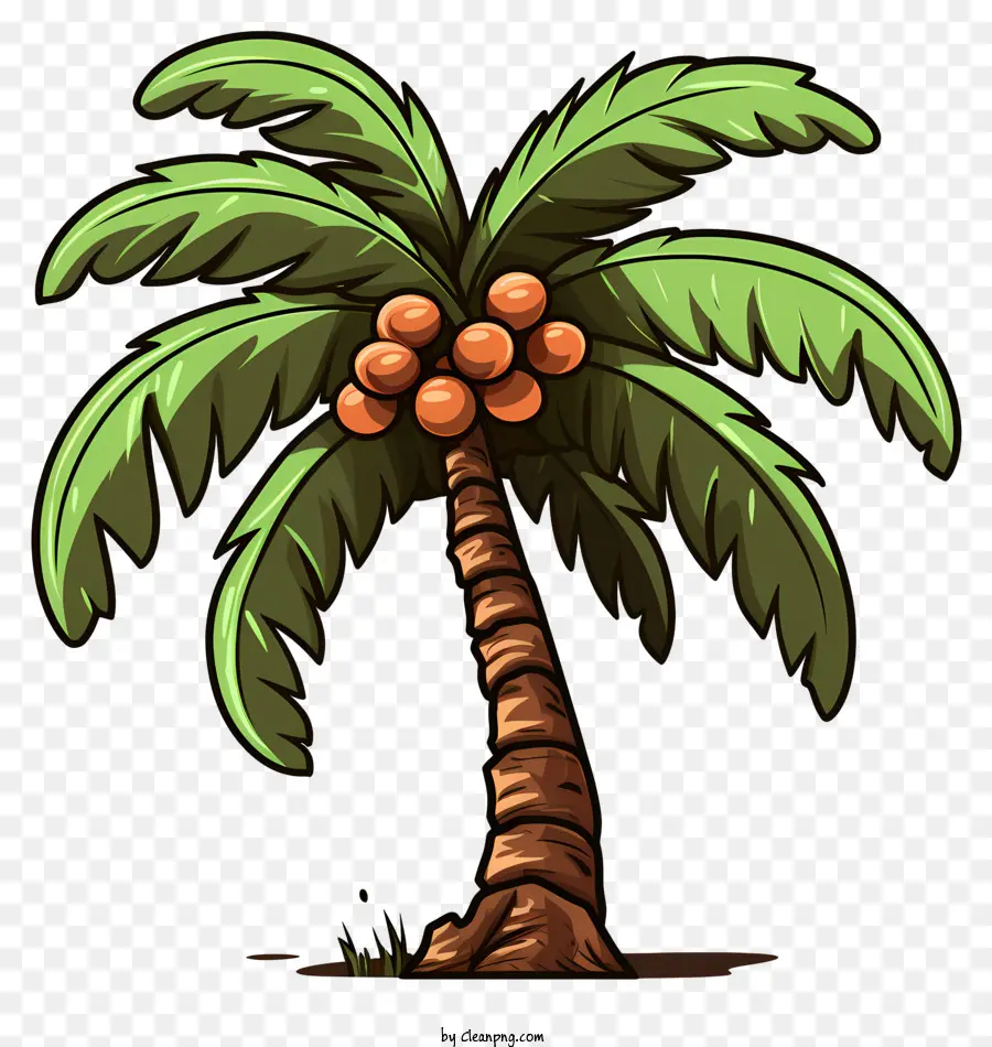 Coconut De Style Gribouillage，Palmier Tropical PNG