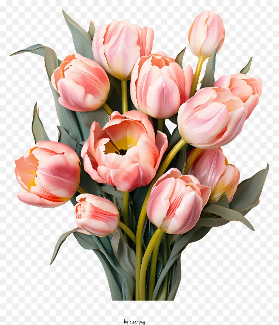 Bouquet De Tulipes Pastel，Tulipes Roses PNG