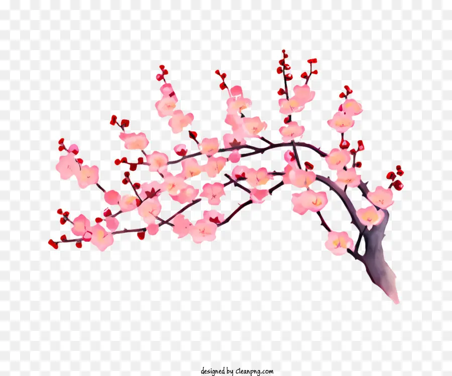 Printemps，Arbre De Fleur De Cerisier Rose PNG