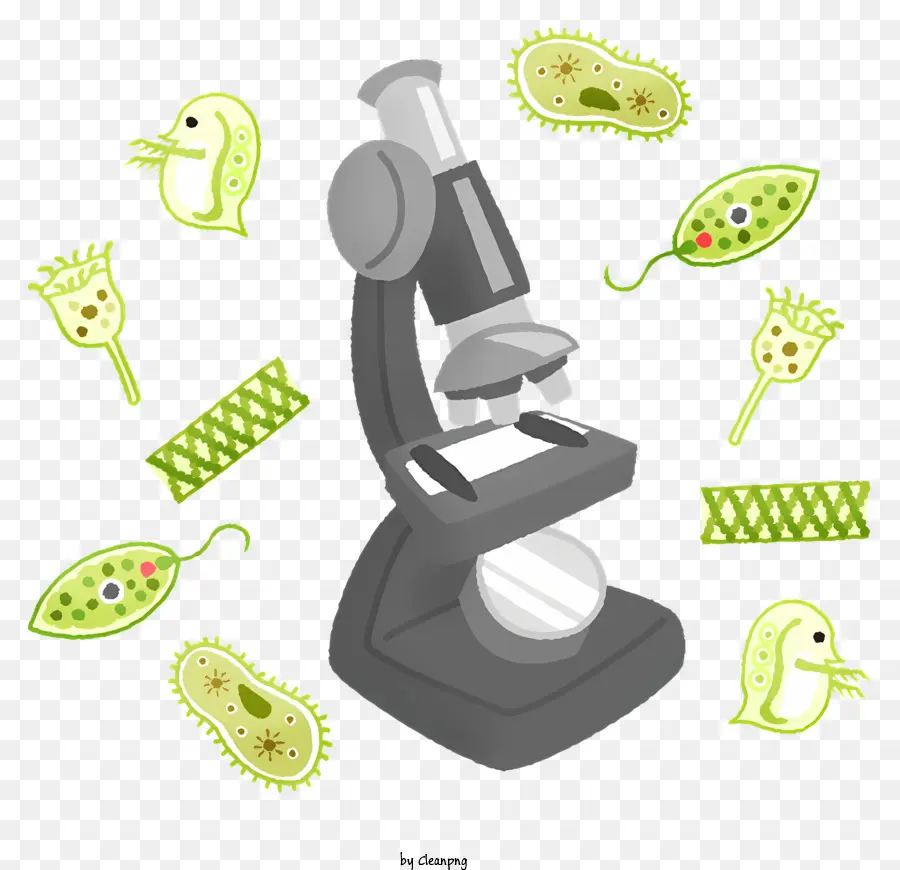 Microscope，Les Germes PNG