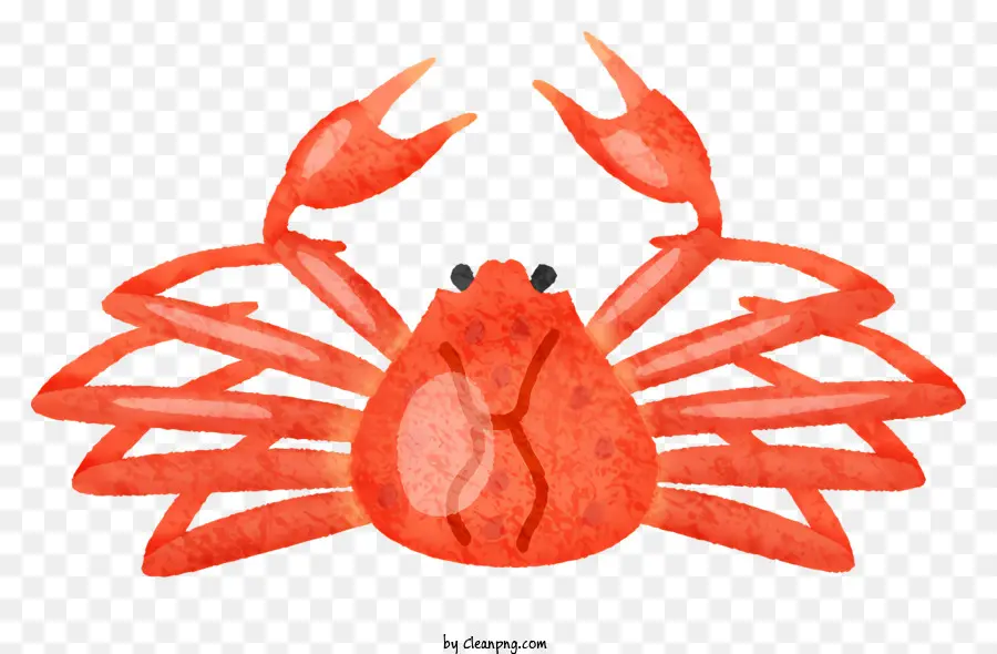 Crabe Rouge，Griffes Blanches PNG