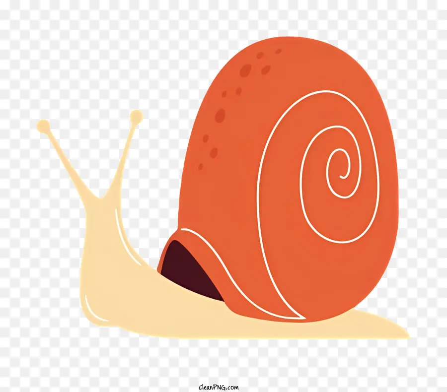 Dessin Animé Escargot，Dessin Animé PNG