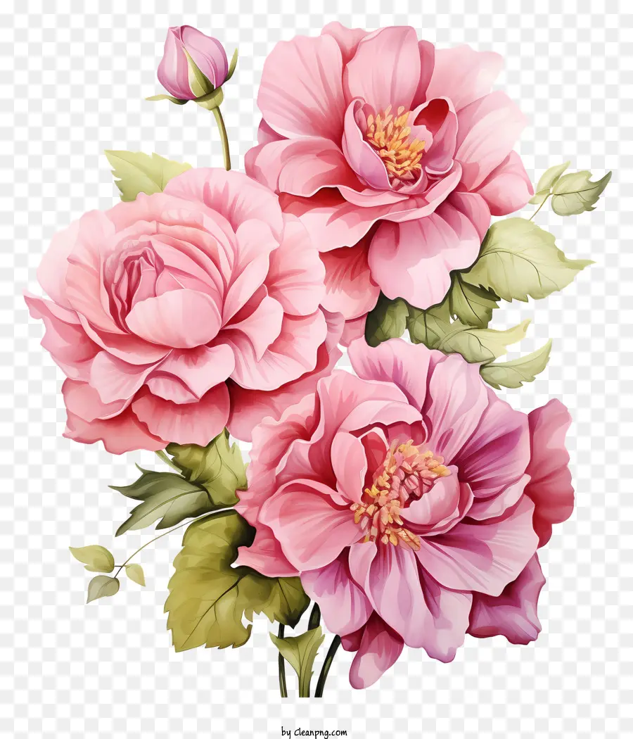 Aquarelle Fleur Rose，Les Roses Roses PNG