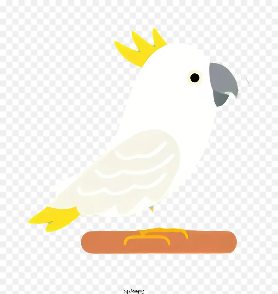 Oiseau Perroquet，L'oiseau Blanc PNG
