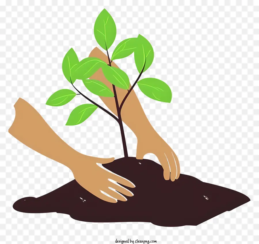 Planting Tree Art Vectoriel Simpliste，Semis PNG