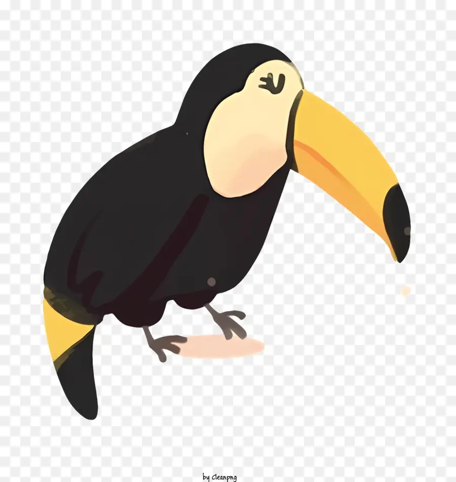Oiseau Perroquet，Grand Oiseau PNG