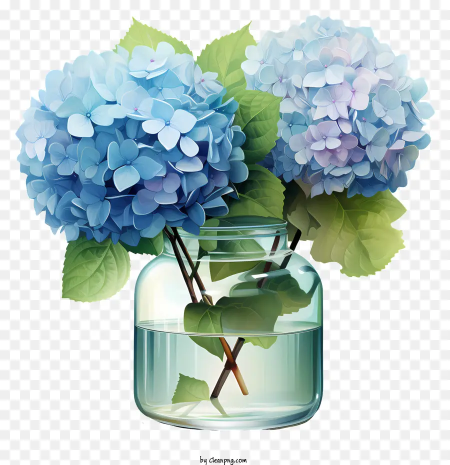 Hortensia Plate En Pot，Fleurs D'hortensia Bleue PNG