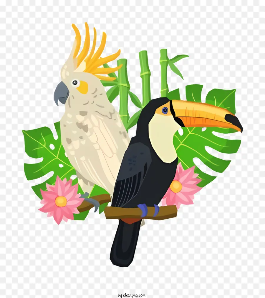 Oiseau Perroquet，Le Toucan PNG