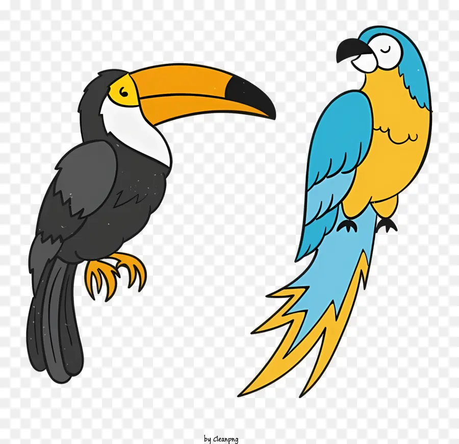 Oiseau Perroquet，Les Oiseaux PNG