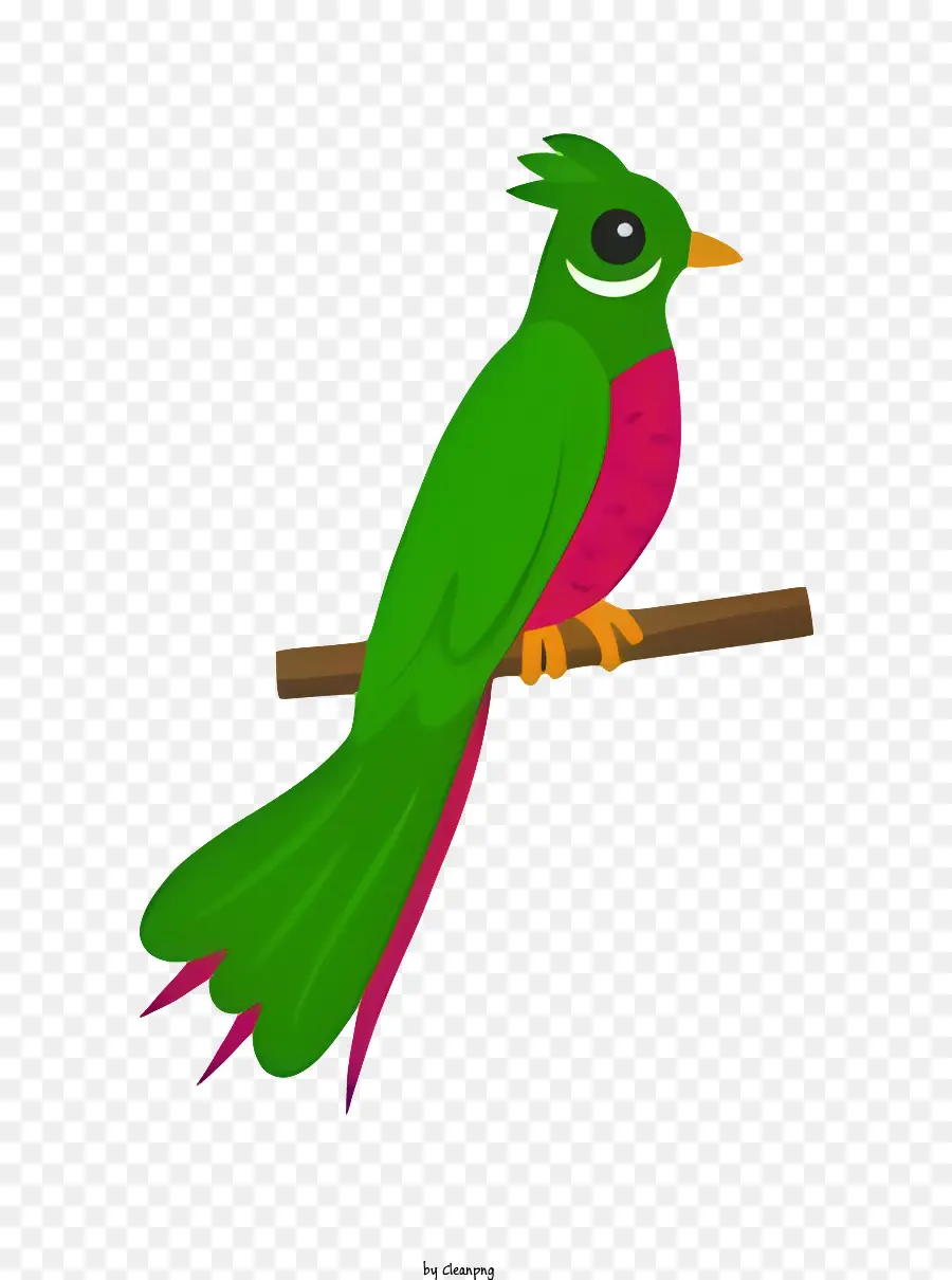 Oiseau Perroquet，Oiseau Vert Et Rouge PNG