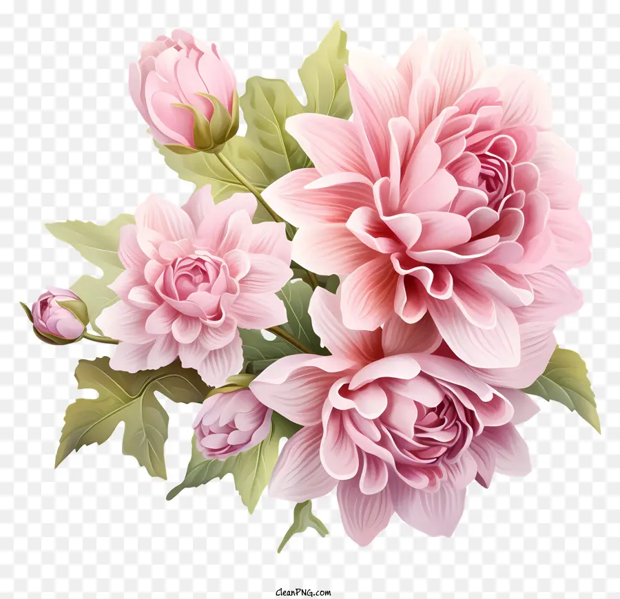 Fleur Rose Plate，Fleurs Roses PNG